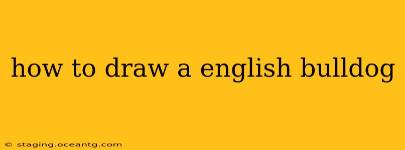 how to draw a english bulldog