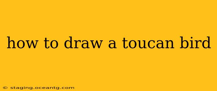 how to draw a toucan bird