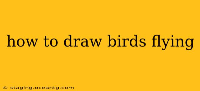 how to draw birds flying