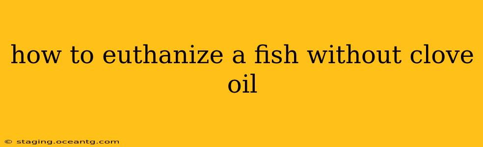 how to euthanize a fish without clove oil
