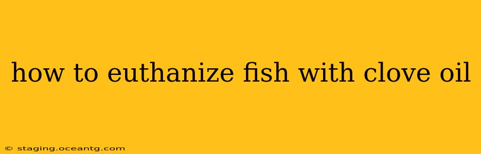 how to euthanize fish with clove oil