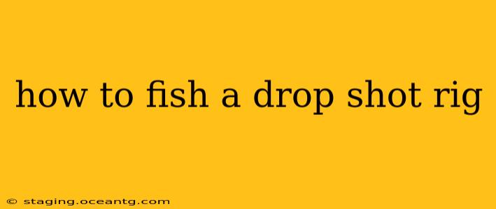 how to fish a drop shot rig