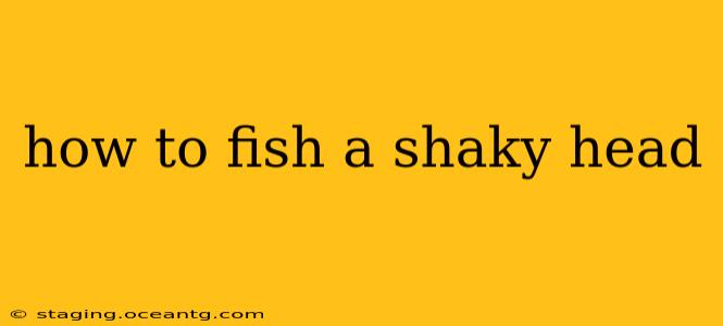 how to fish a shaky head