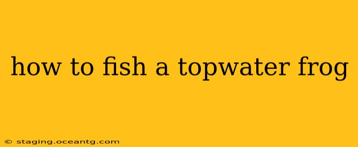 how to fish a topwater frog