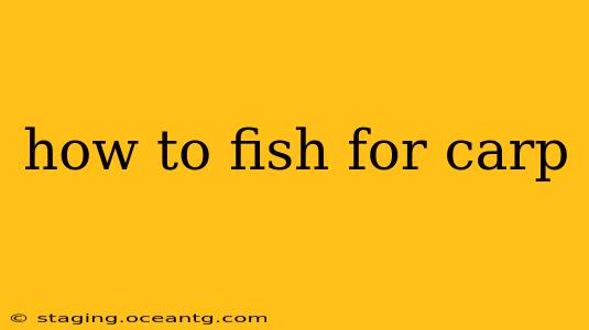 how to fish for carp