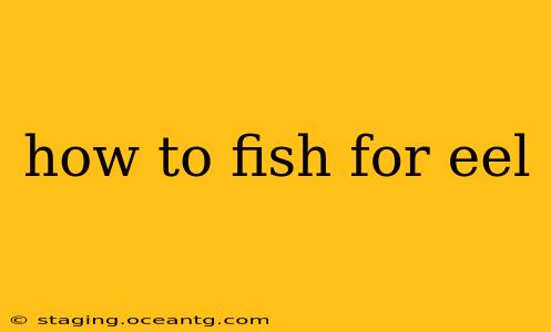 how to fish for eel