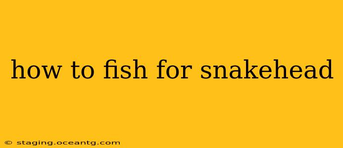 how to fish for snakehead