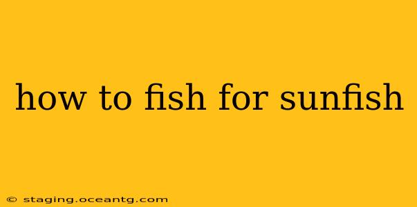 how to fish for sunfish