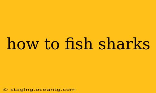 how to fish sharks