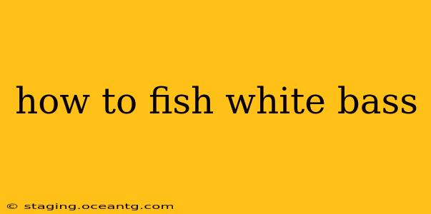 how to fish white bass