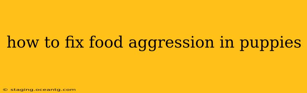 how to fix food aggression in puppies