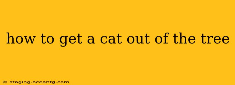 how to get a cat out of the tree