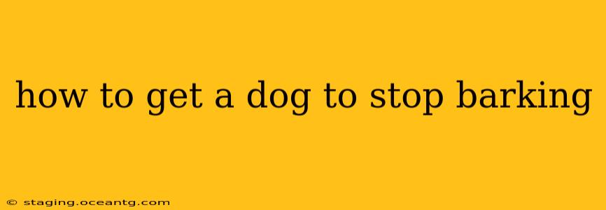how to get a dog to stop barking