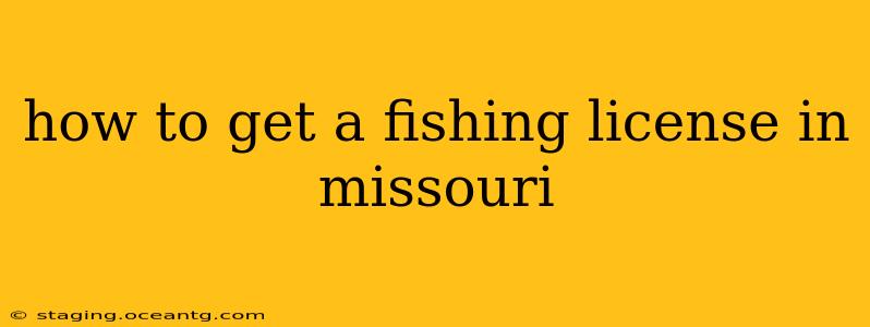 how to get a fishing license in missouri