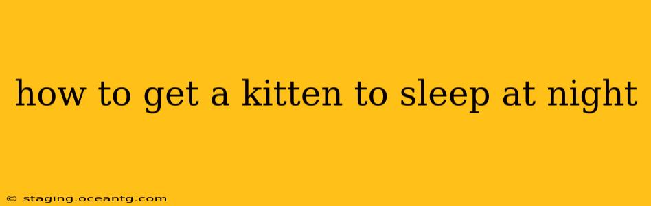 how to get a kitten to sleep at night