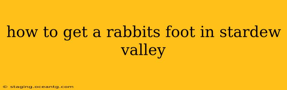 how to get a rabbits foot in stardew valley
