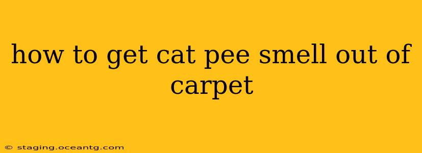 how to get cat pee smell out of carpet