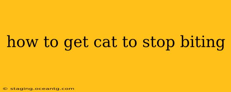 how to get cat to stop biting