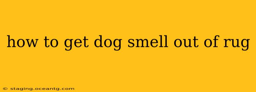 how to get dog smell out of rug