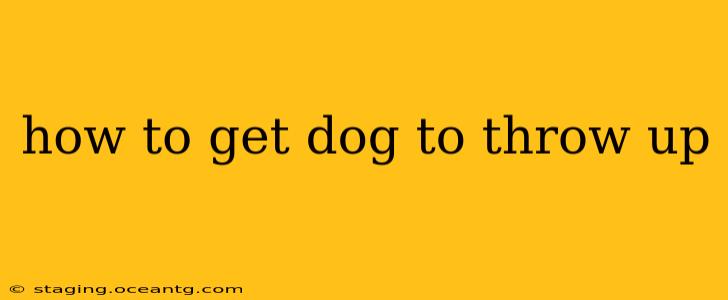 how to get dog to throw up
