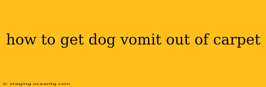 how to get dog vomit out of carpet