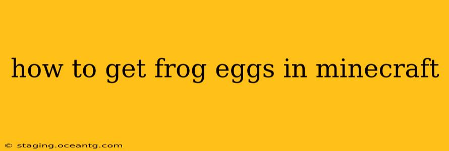 how to get frog eggs in minecraft