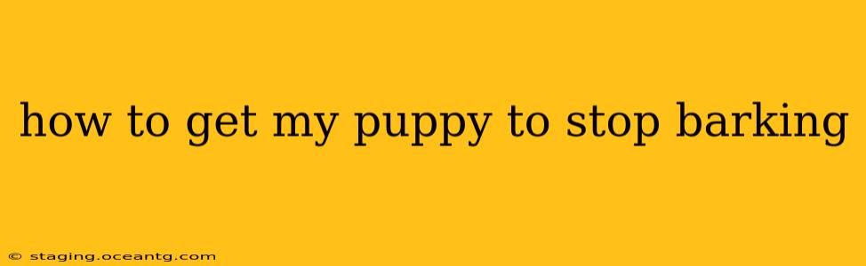 how to get my puppy to stop barking