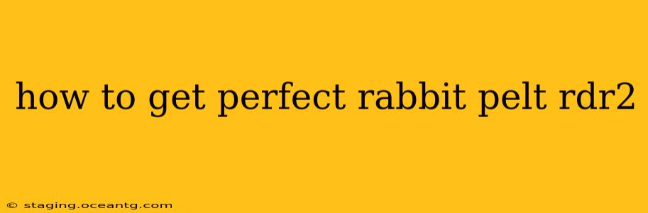 how to get perfect rabbit pelt rdr2