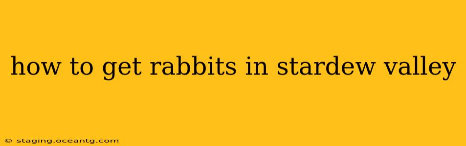 how to get rabbits in stardew valley