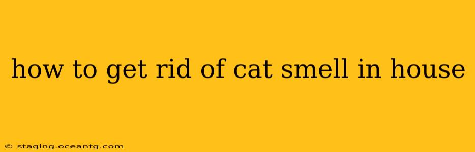how to get rid of cat smell in house