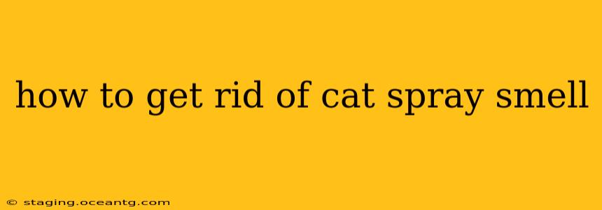 how to get rid of cat spray smell