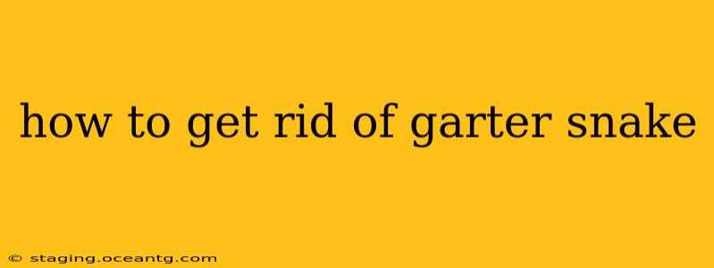 how to get rid of garter snake