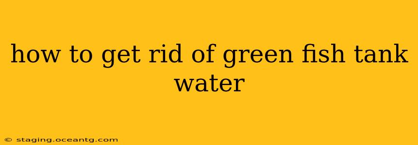 how to get rid of green fish tank water