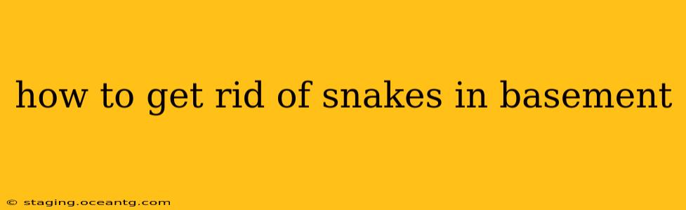 how to get rid of snakes in basement