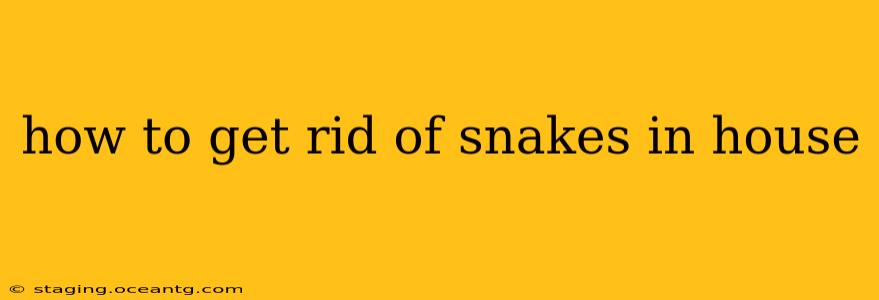 how to get rid of snakes in house