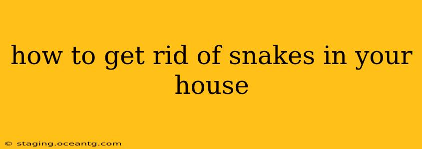 how to get rid of snakes in your house