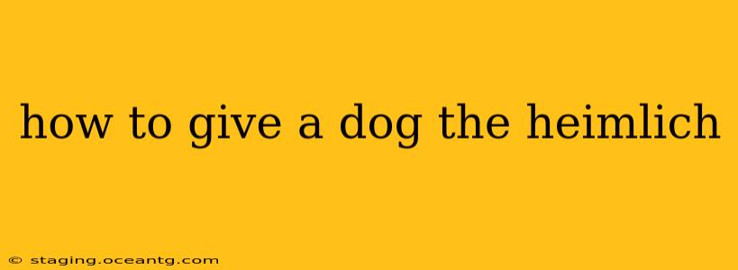 how to give a dog the heimlich