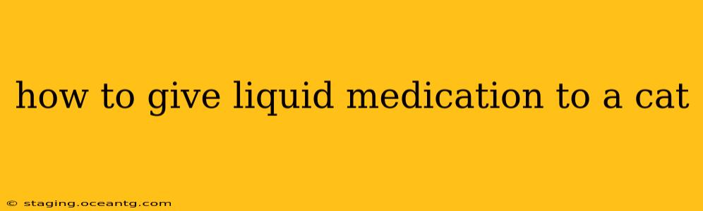 how to give liquid medication to a cat