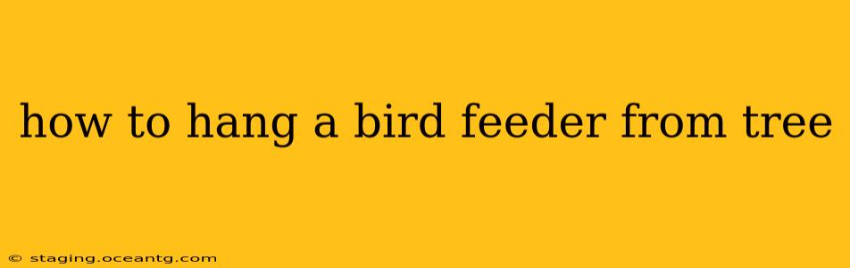 how to hang a bird feeder from tree