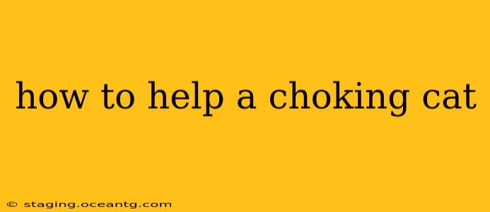 how to help a choking cat