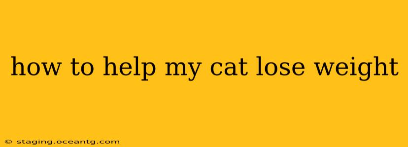 how to help my cat lose weight