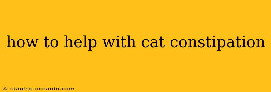 how to help with cat constipation