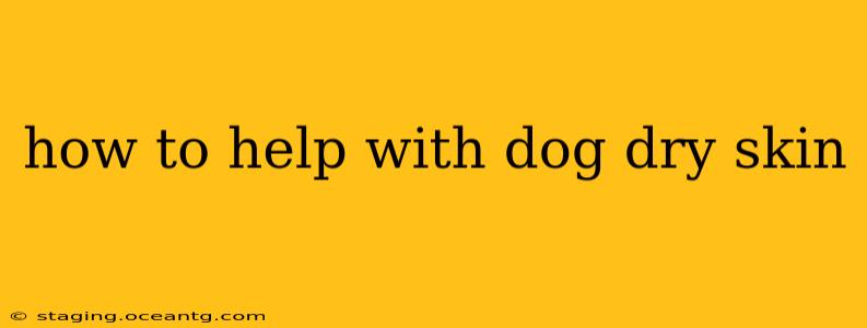 how to help with dog dry skin