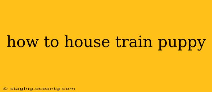 how to house train puppy