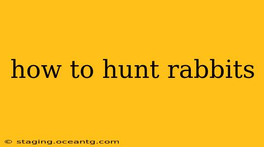 how to hunt rabbits