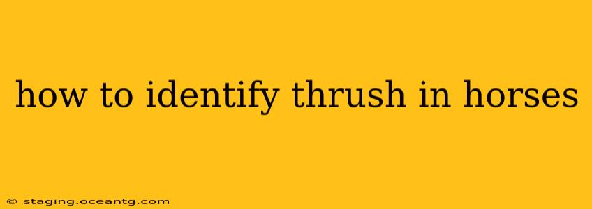 how to identify thrush in horses