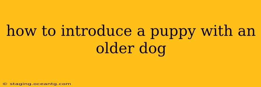 how to introduce a puppy with an older dog