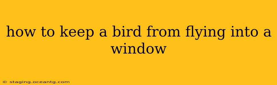 how to keep a bird from flying into a window