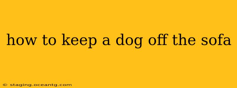 how to keep a dog off the sofa