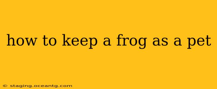 how to keep a frog as a pet